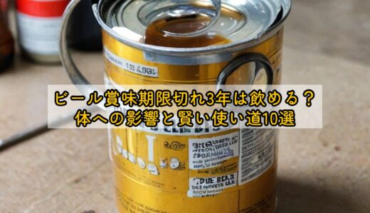ビール賞味期限切れ3年は飲める？体への影響と賢い使い道10選
