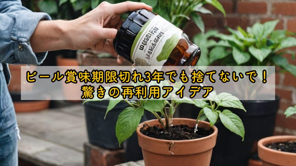 ビール賞味期限切れ3年でも捨てないで!驚きの再利用アイデア