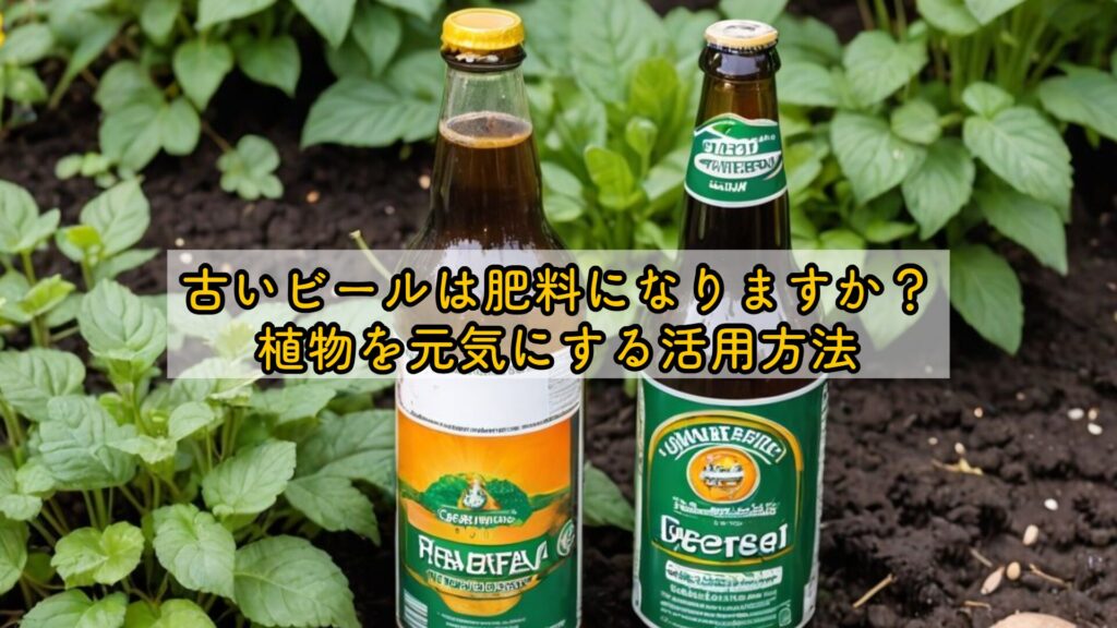 古いビールは肥料になりますか?植物を元気にする活用方法