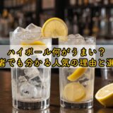 ハイボール何がうまい？初心者でも分かる人気の理由と選び方
